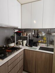 Riverbank @ Fernvale (D28), Condominium #574523861